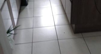 Apartamento A VENDA REF 2553